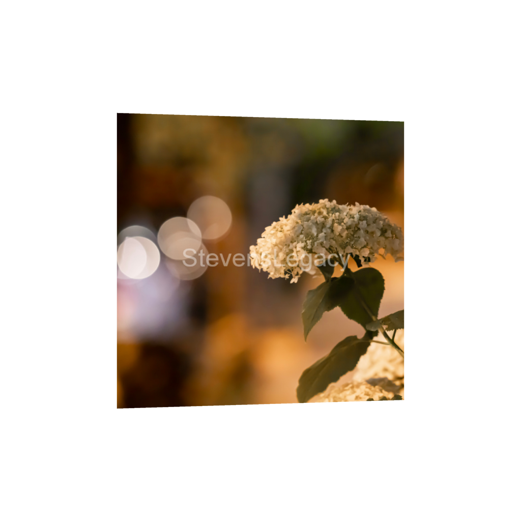 ptq_1_0_0_411_3295_3295_0_false_ffffff_0_0_065f413118672e14d0f9d7e25525d850.png
