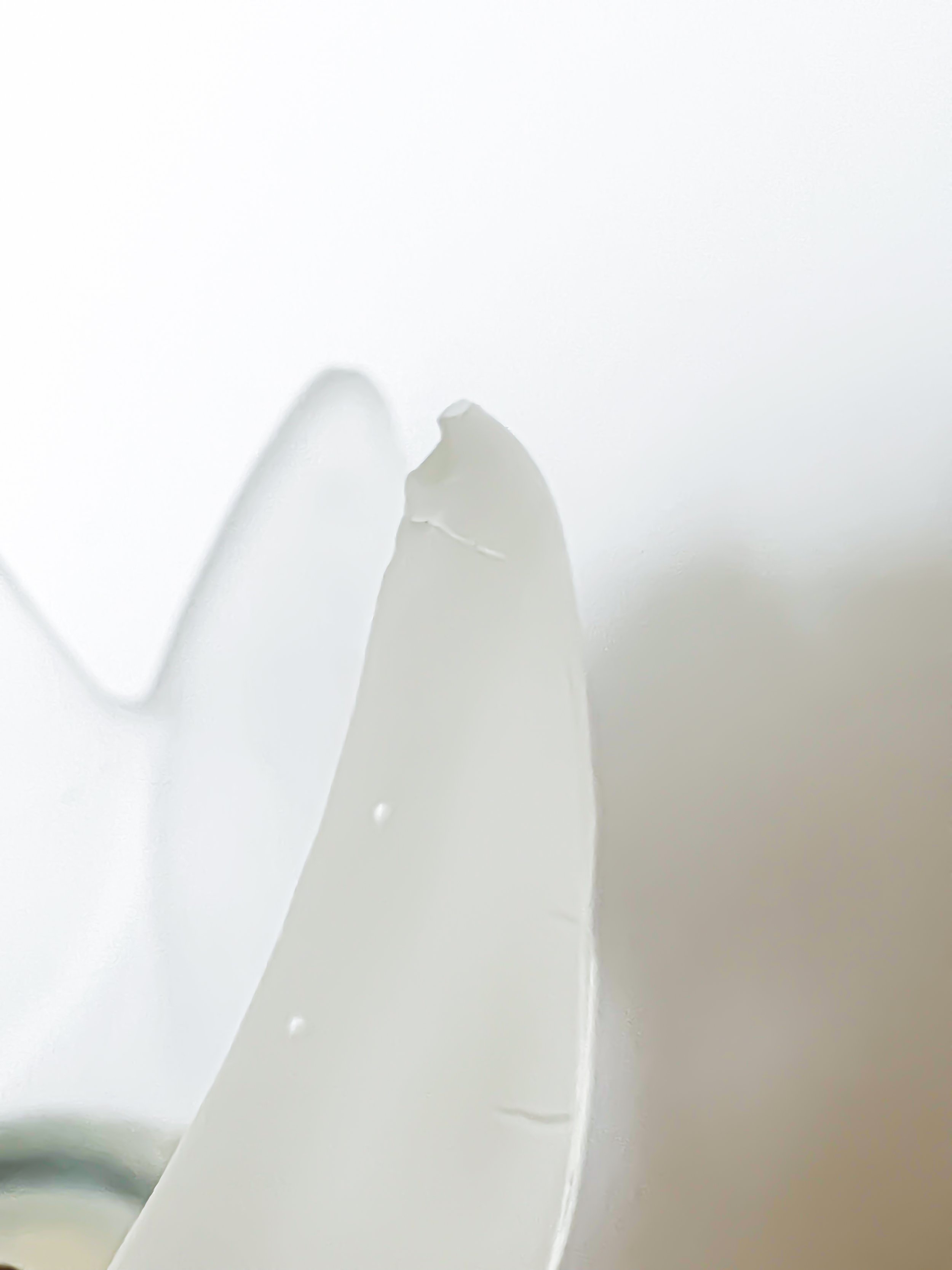 35B521FC-561E-4D33-A5BB-4028001A3149.jpeg