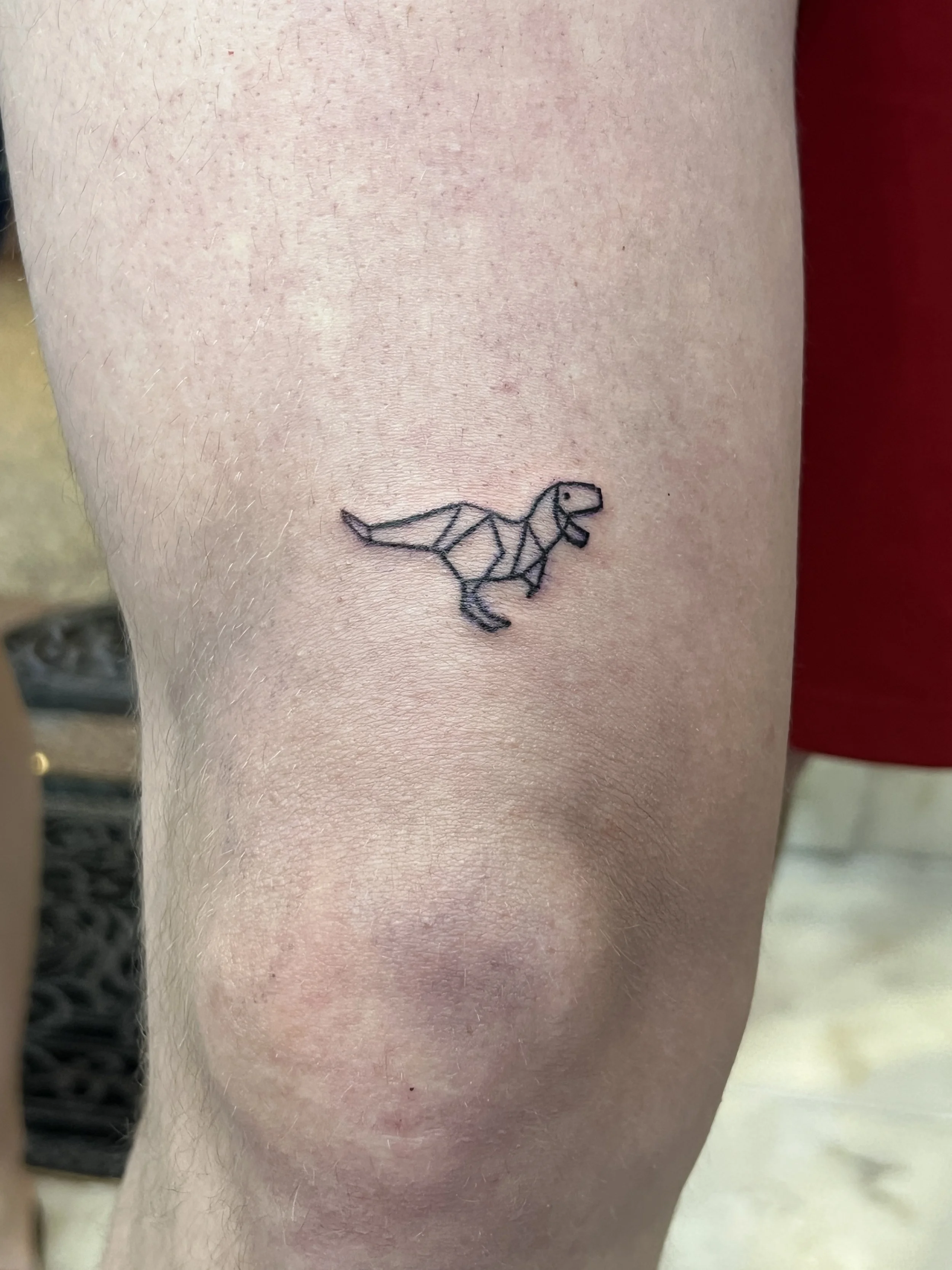 FLASH_Tiny Dino4.JPG