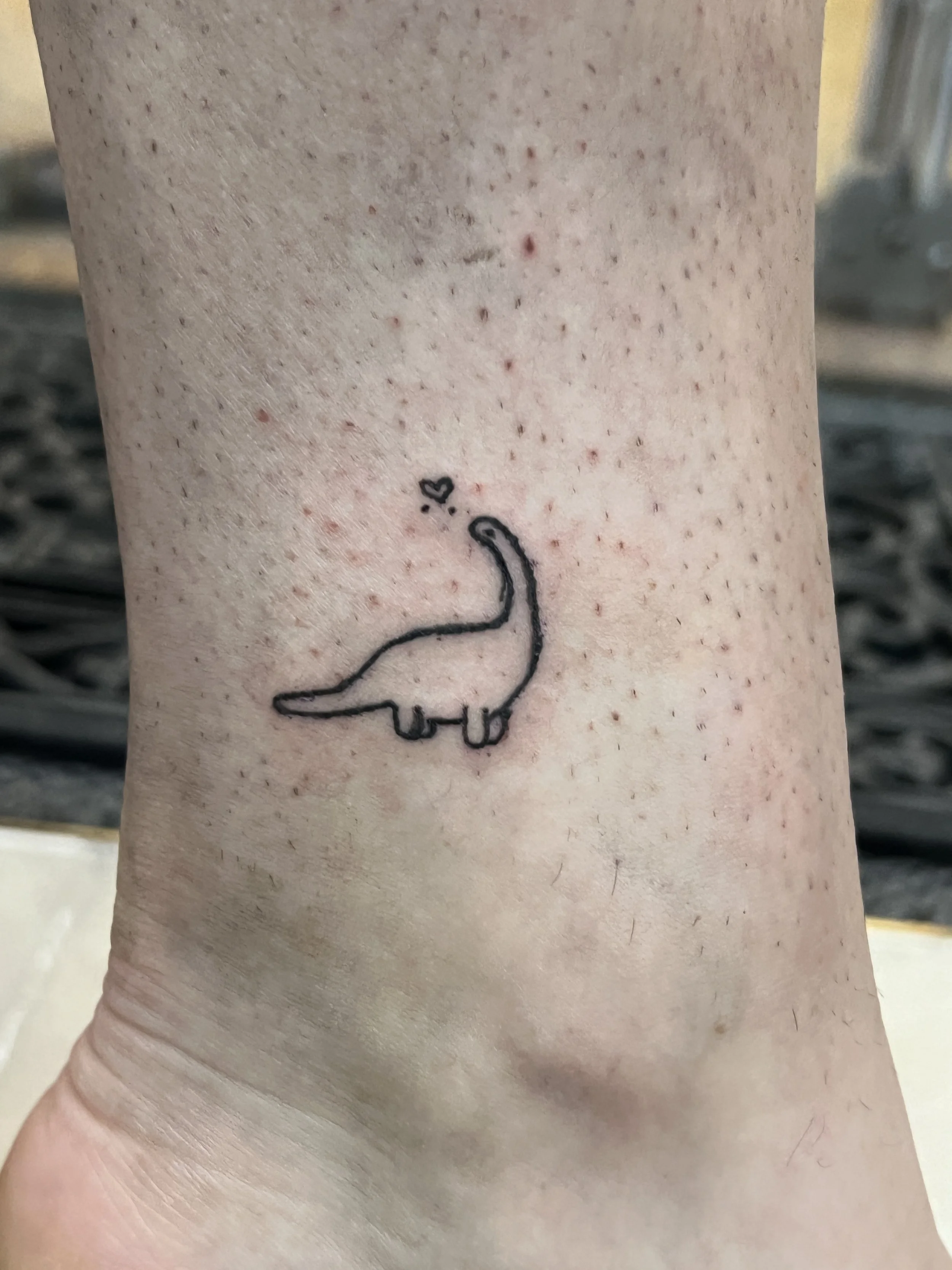 FLASH_Tiny Dino 3.JPG