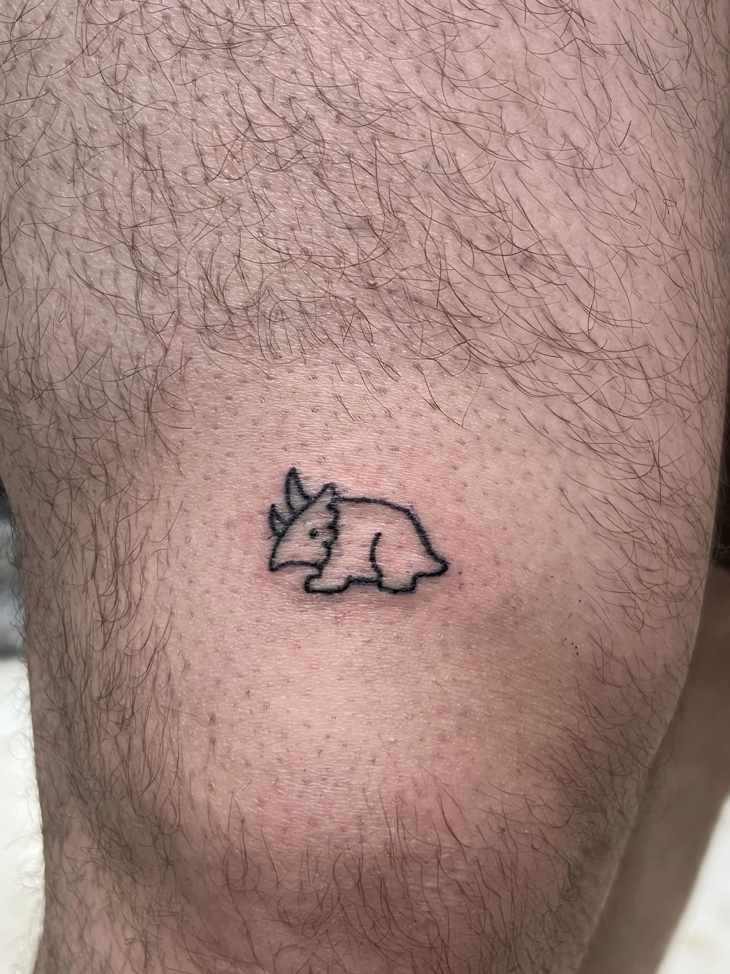 FLASH_Tiny Dino2.JPG