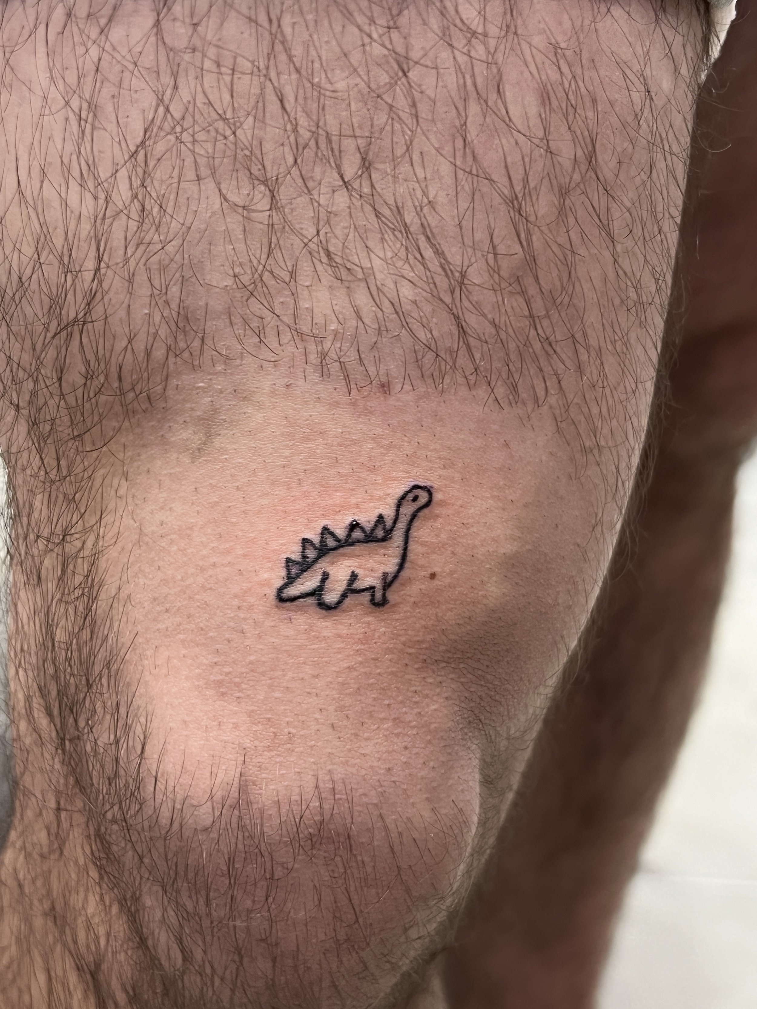 FLASH_Tiny Dino1.JPG