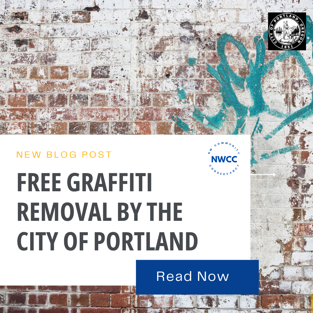 Free Graffiti Removal by the City of Portland