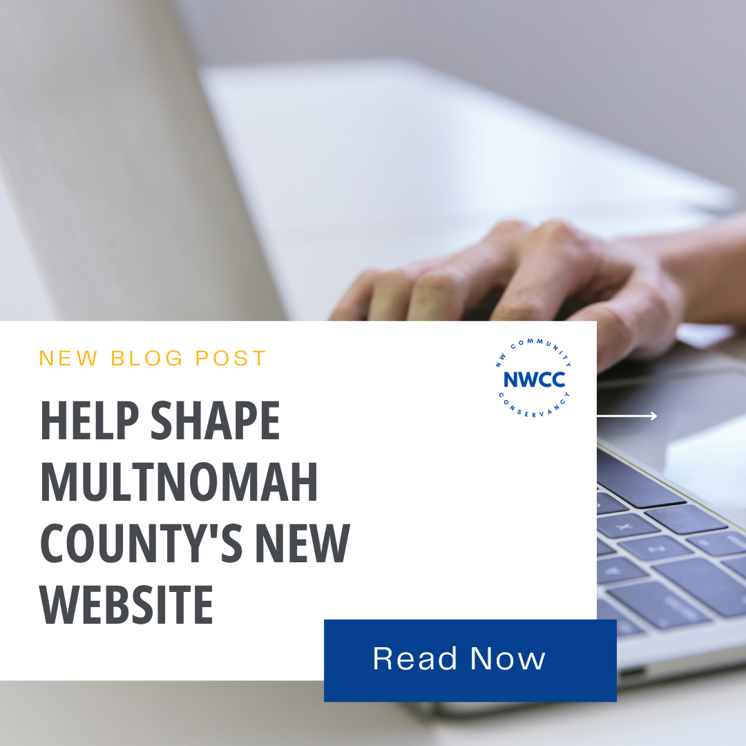 Help Shape Multnomah County's New Website