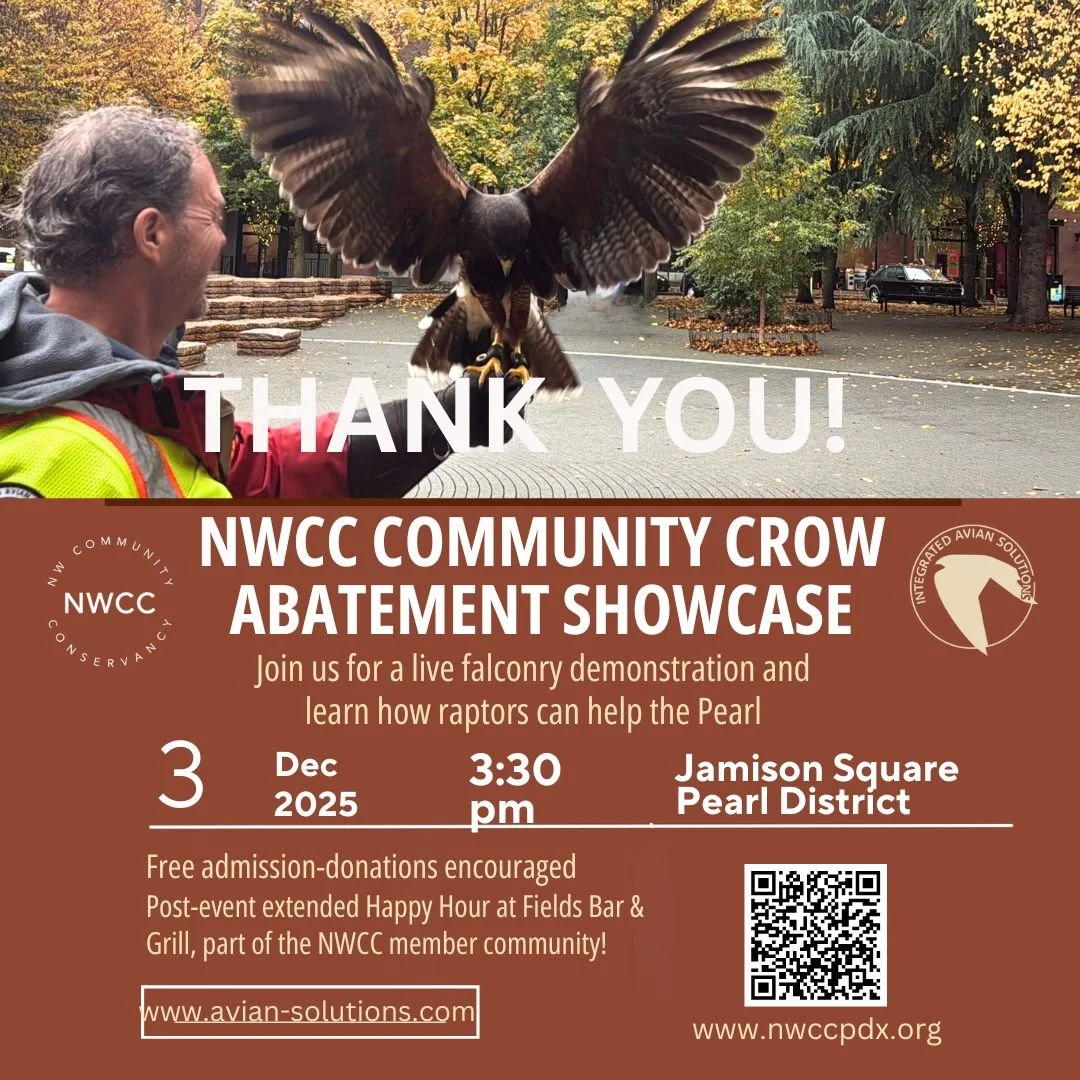 Crow Abatement Program Showcase NWCC with Harris's hawk and handler
