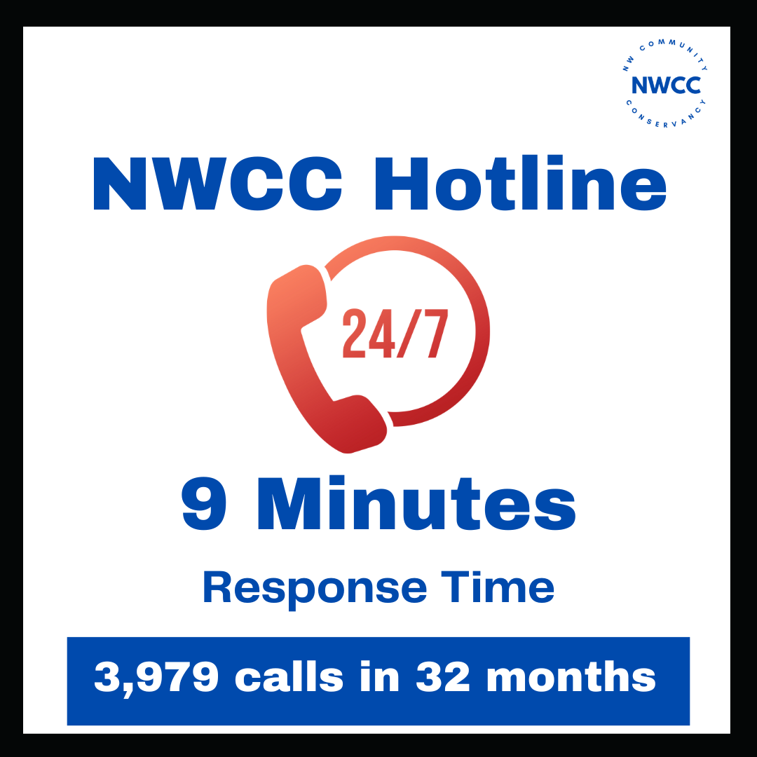 Poster with a blue and red color scheme, displaying NWCC Hotline, 24/7 availability, 9-minute response time, and 3,979 calls in 32 months, with branding and logo in the top right corner.