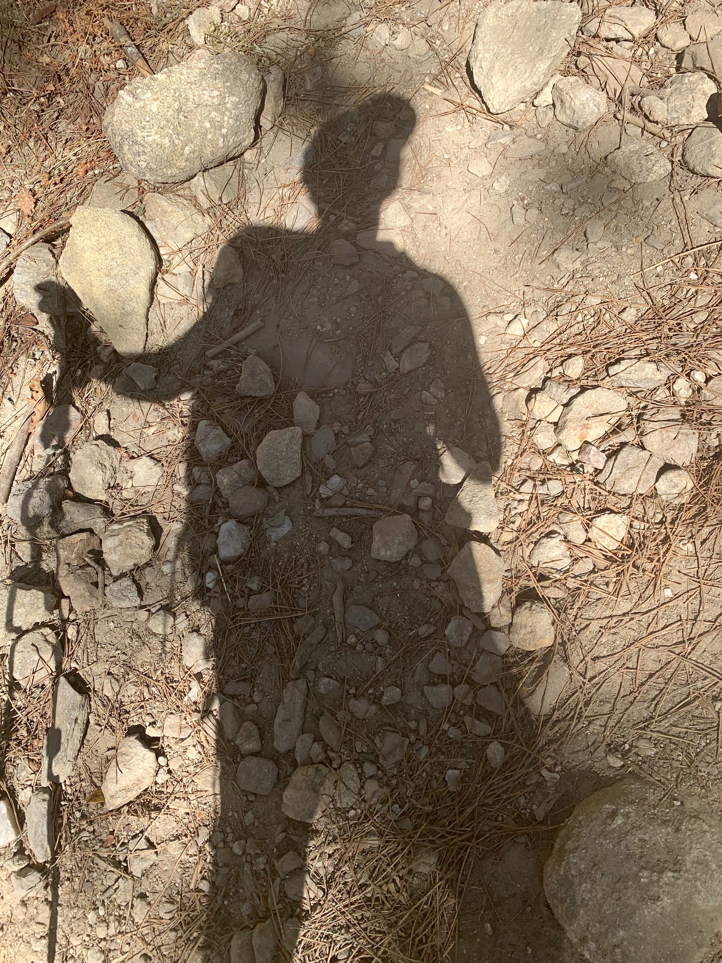 My Shadow 1.jpeg