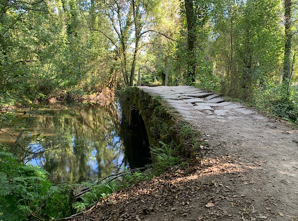 Bridge pathway.jpeg
