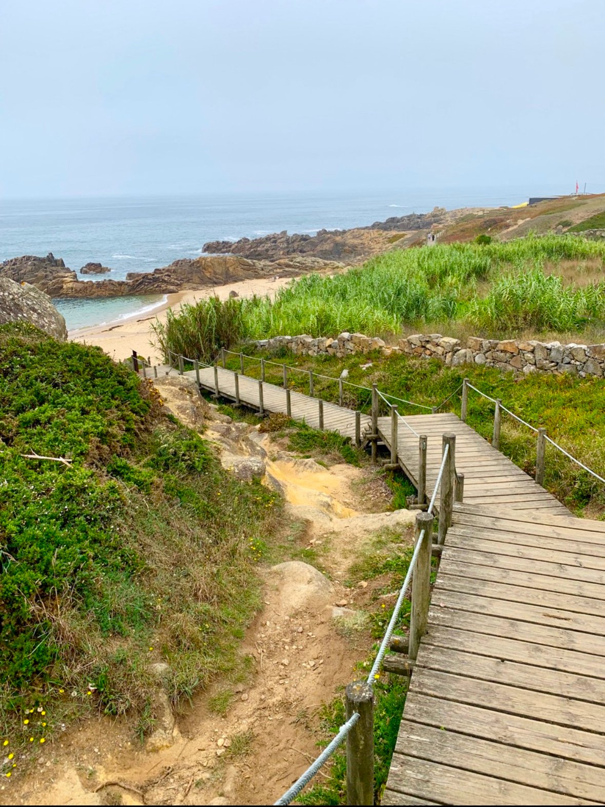 Steps to beach.jpeg