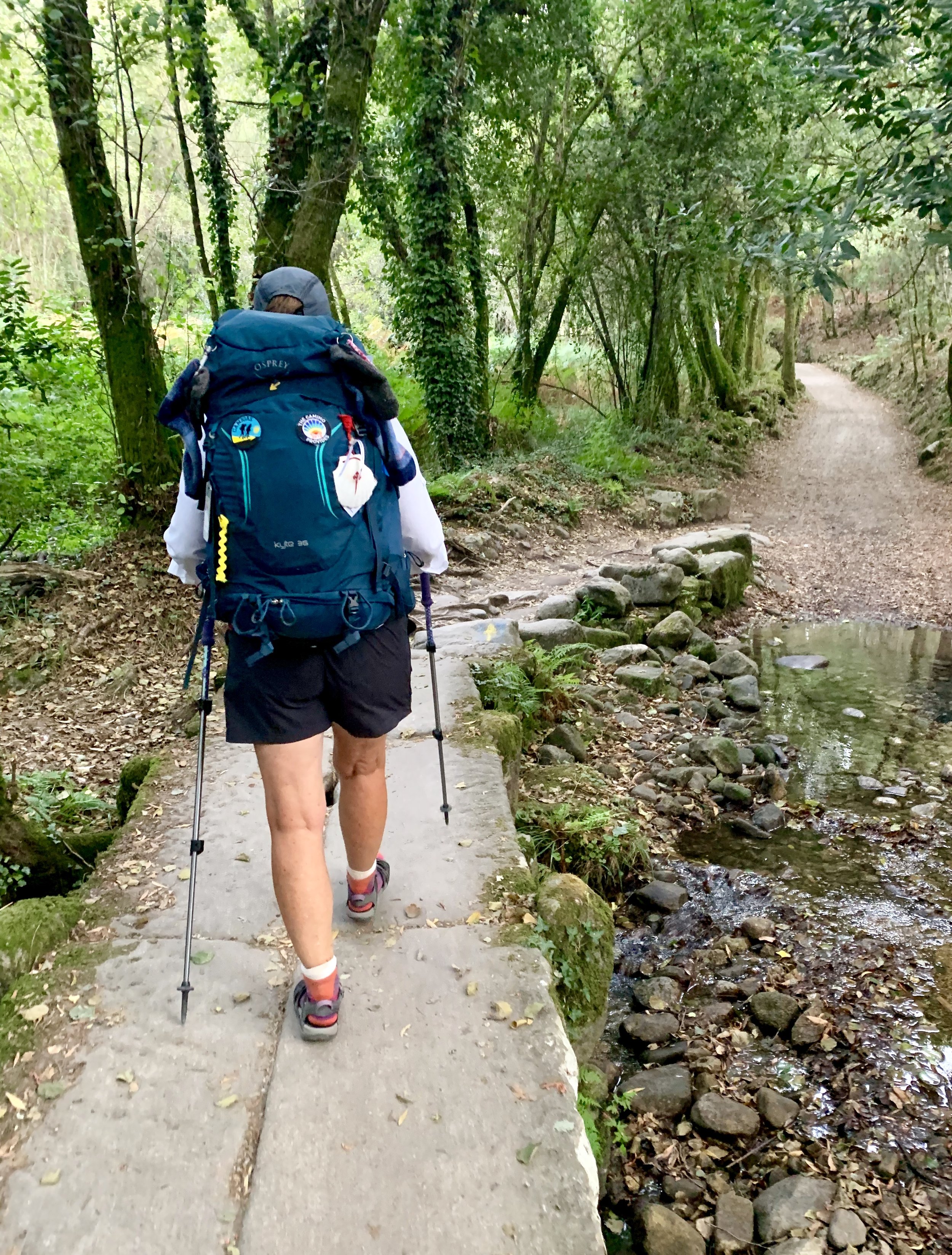 Me Walking On 1.jpeg