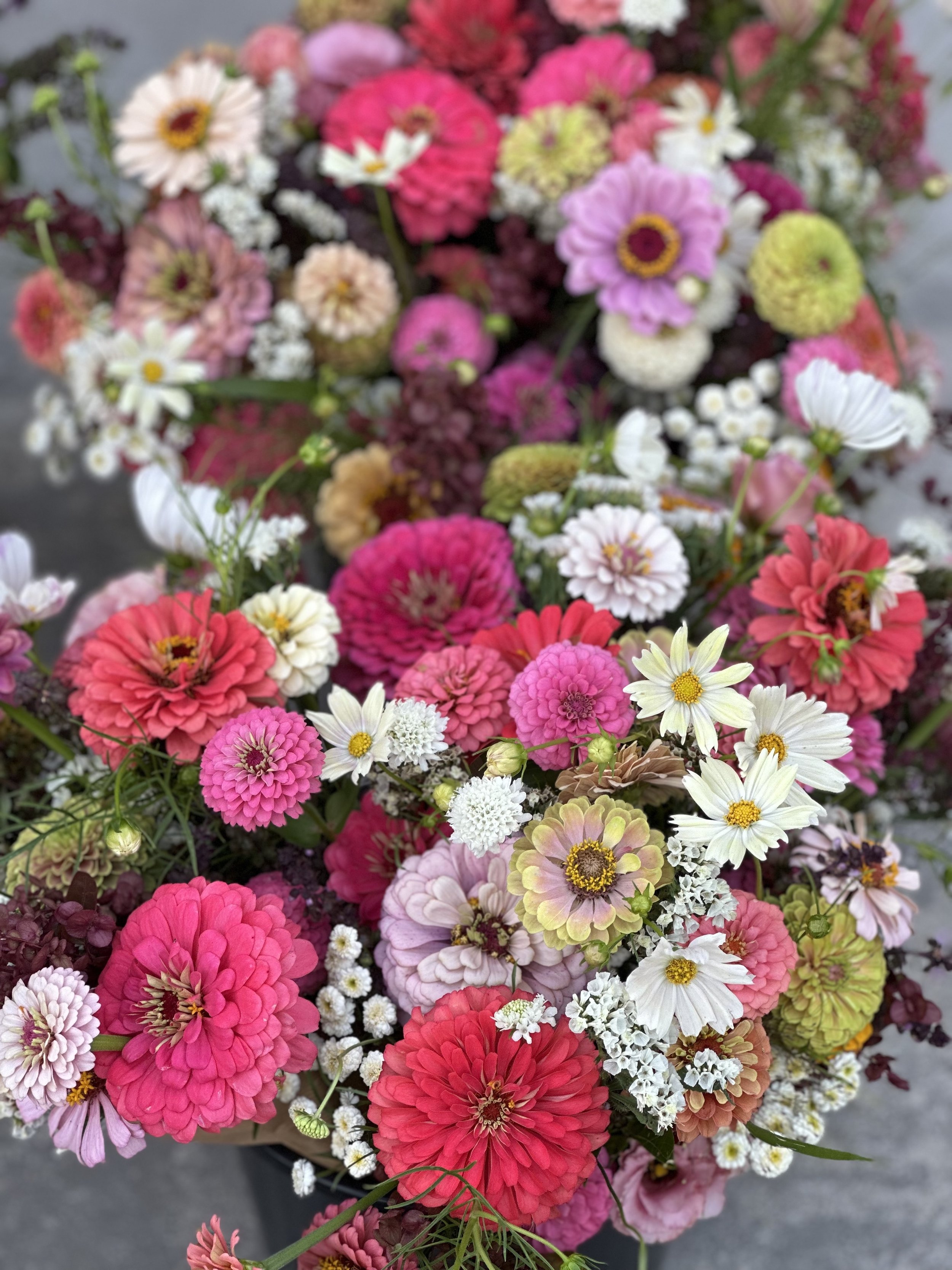 2025 Flower Subscription 5 biweekly