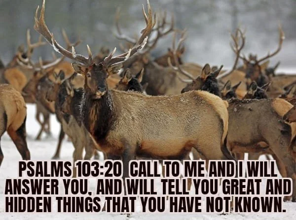 THE ANSWERS ARE ALL IN THERE