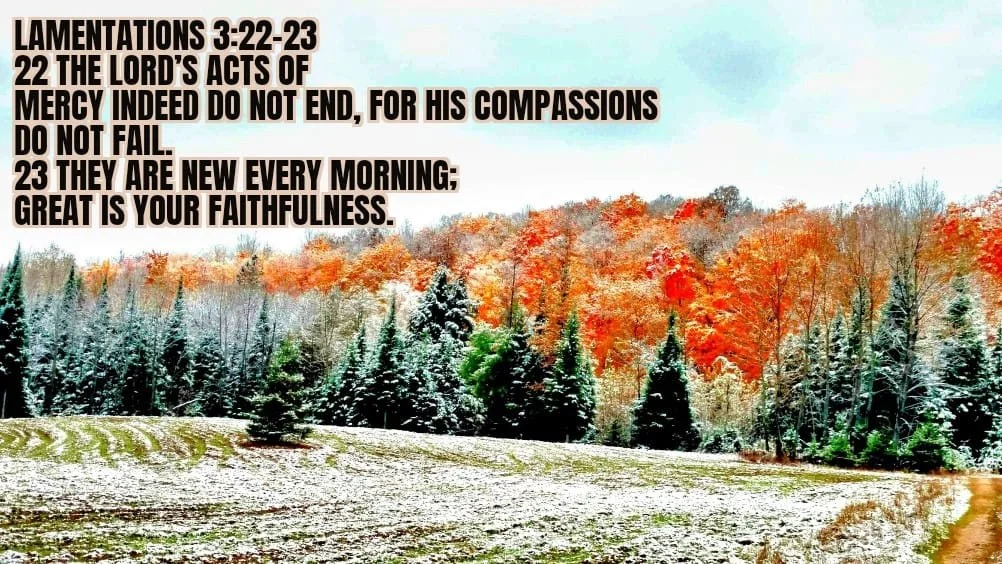 THE PROMISE OF A BRIGHT NEW DAY