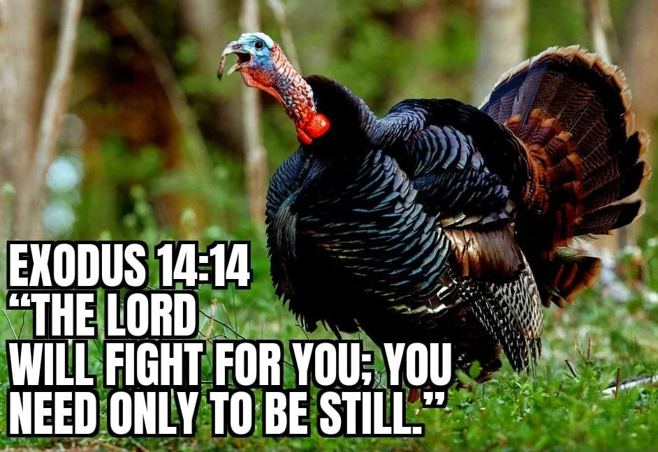 STAND FIRM AND ALLOW GOD THE VICTORY