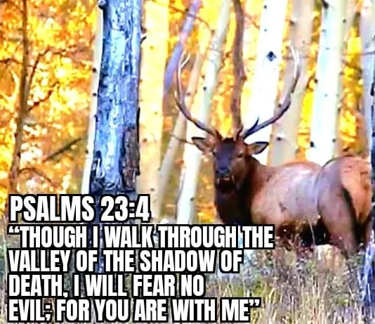 GROWING IN THE VALLEYS OF LIFE
