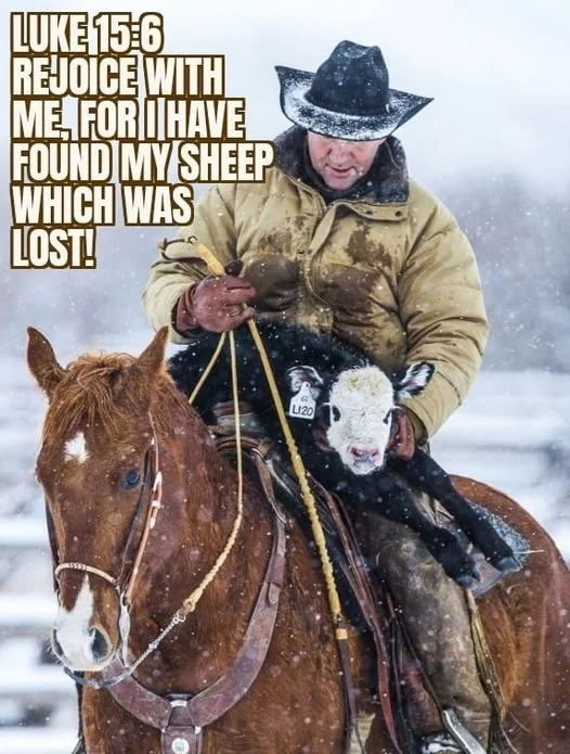 LOST AND FOUND