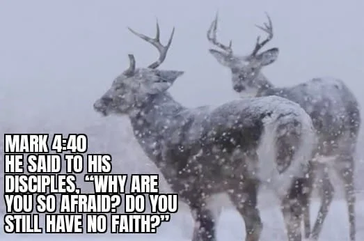 SOMETIMES HE CALMS THE STORM