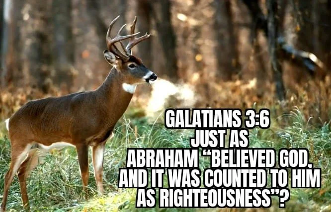 FAITH DON''T COME IN A BUSHEL BASKET