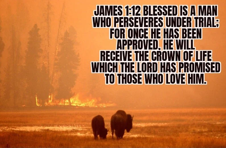 PURIFIED BY FIRE