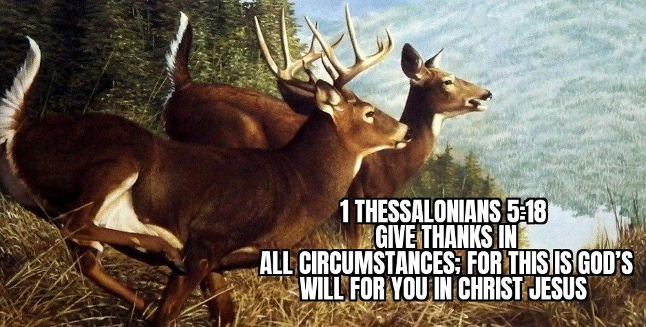 IN ALL THINGS?