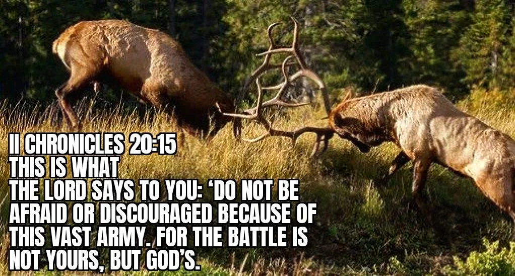 THE BATTLE BELONGS TO THE LORD 