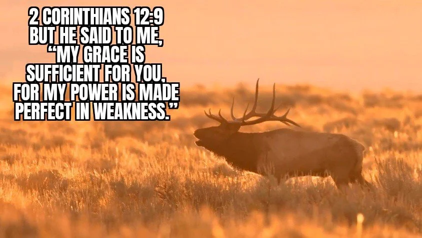 GOD'S STRENGTH IN MY WEAKNESS 