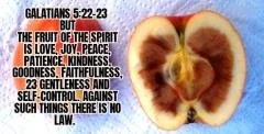 A HEALTHY SPIRIT
