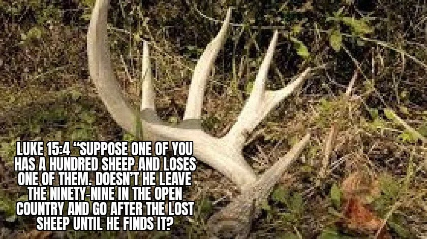 TRUE TROPHIES