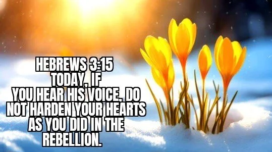 THE HOPE OF SPRING