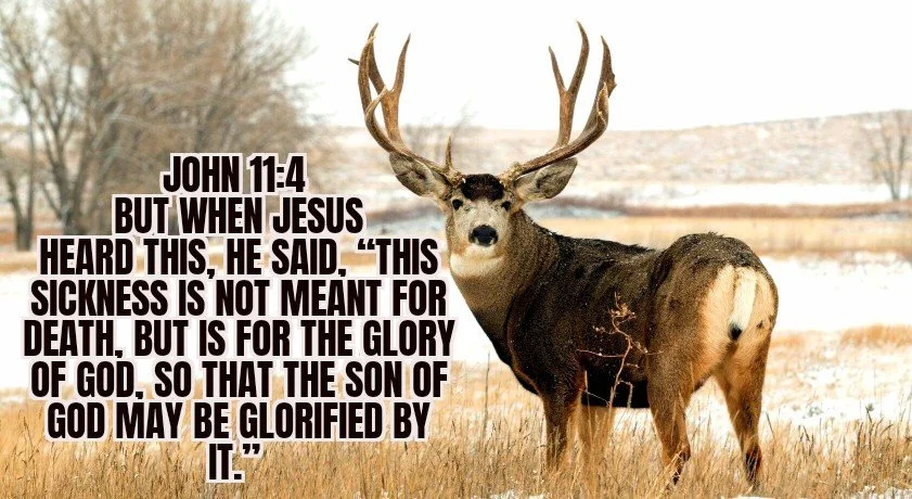 GOD'S PERFECT TIMING