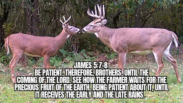 FAITHFULLY PLANTING