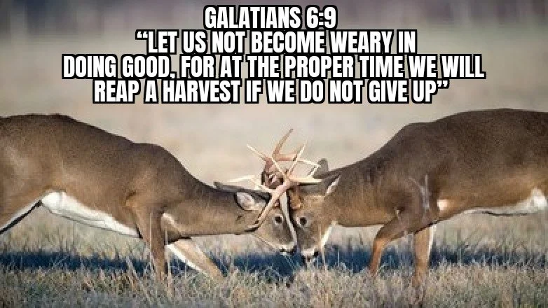 NEVER SETTLE FOR LESS THAN GOD'S BEST