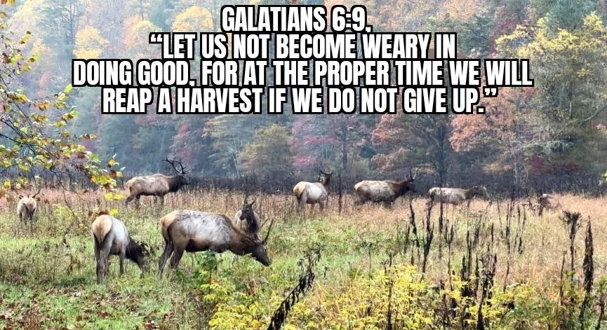 DON'T GIVE UP TOO SOON