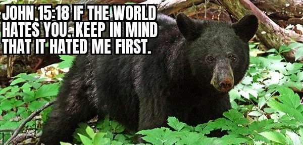 THE WORLD HATED HIM FIRST