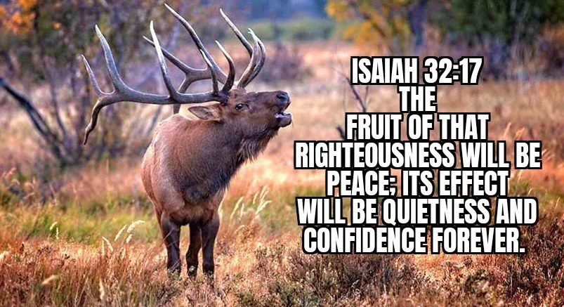 A GODLY PLAN