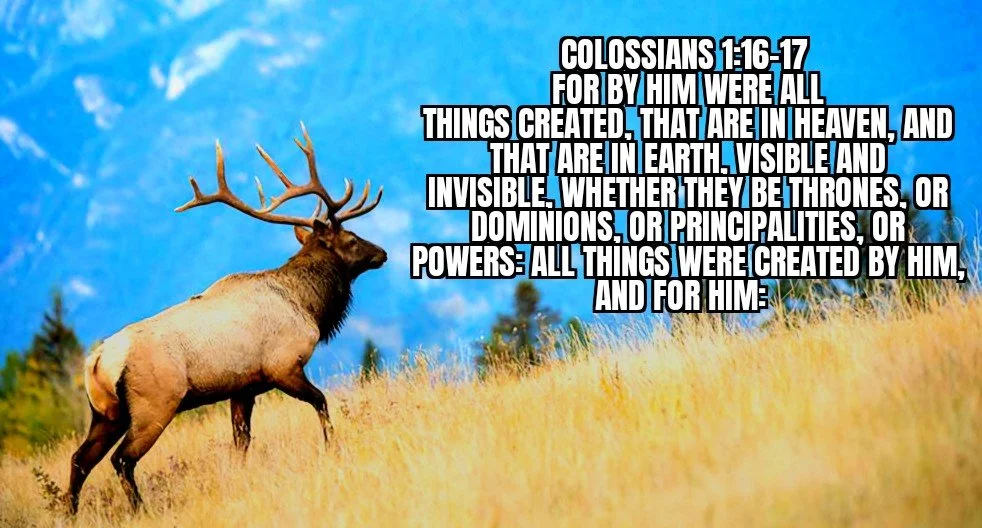 We are "enough" in Christ.
