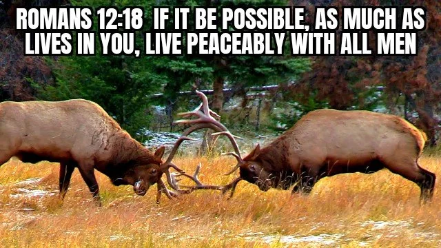 PEACEMAKERS