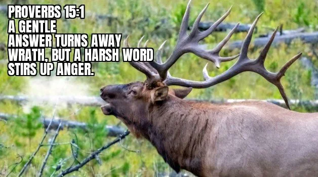 A GENTLE WORD