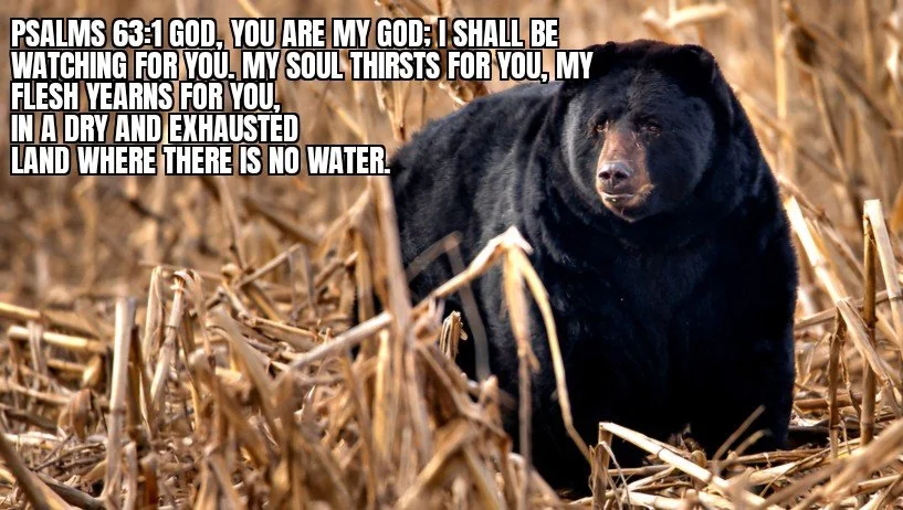 HUNGER &amp; THIRST