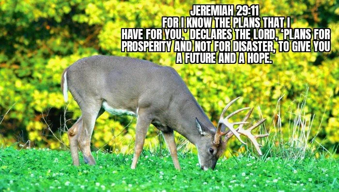 PREPARE YOUR FIELDS