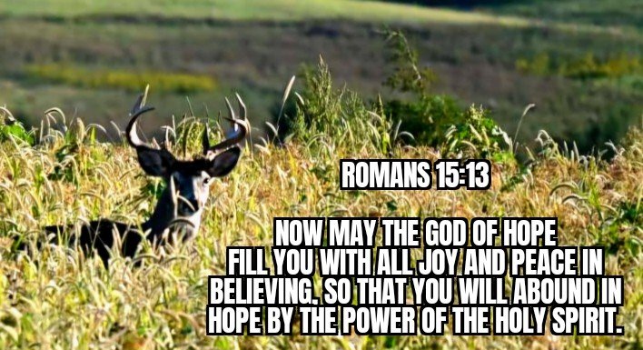 Hope, joy and peace