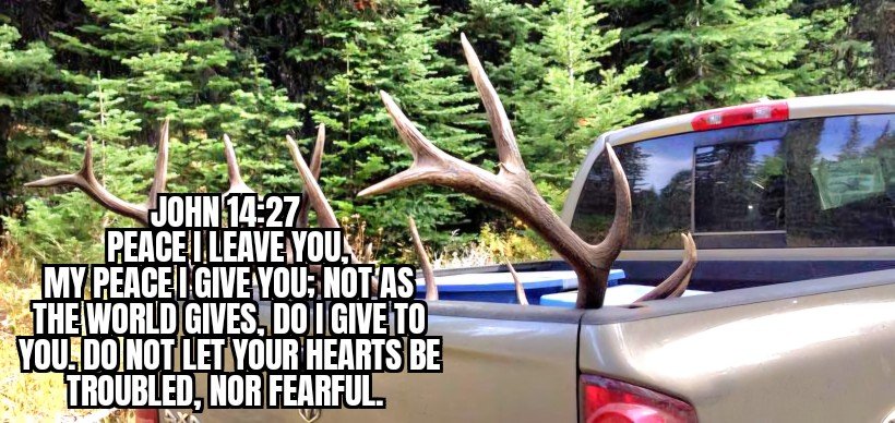 ARE YOU TRUSTING 