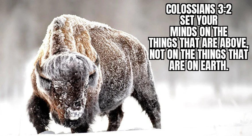 WHAT ARE YOU FOCUSING ON?