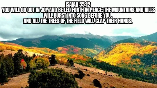LOOK AROUND... SEE GOD 