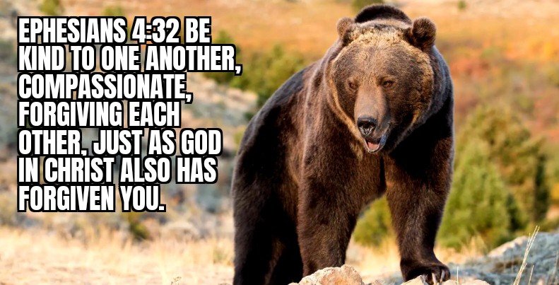 MEEKNESS IS NOT WEAKNESS