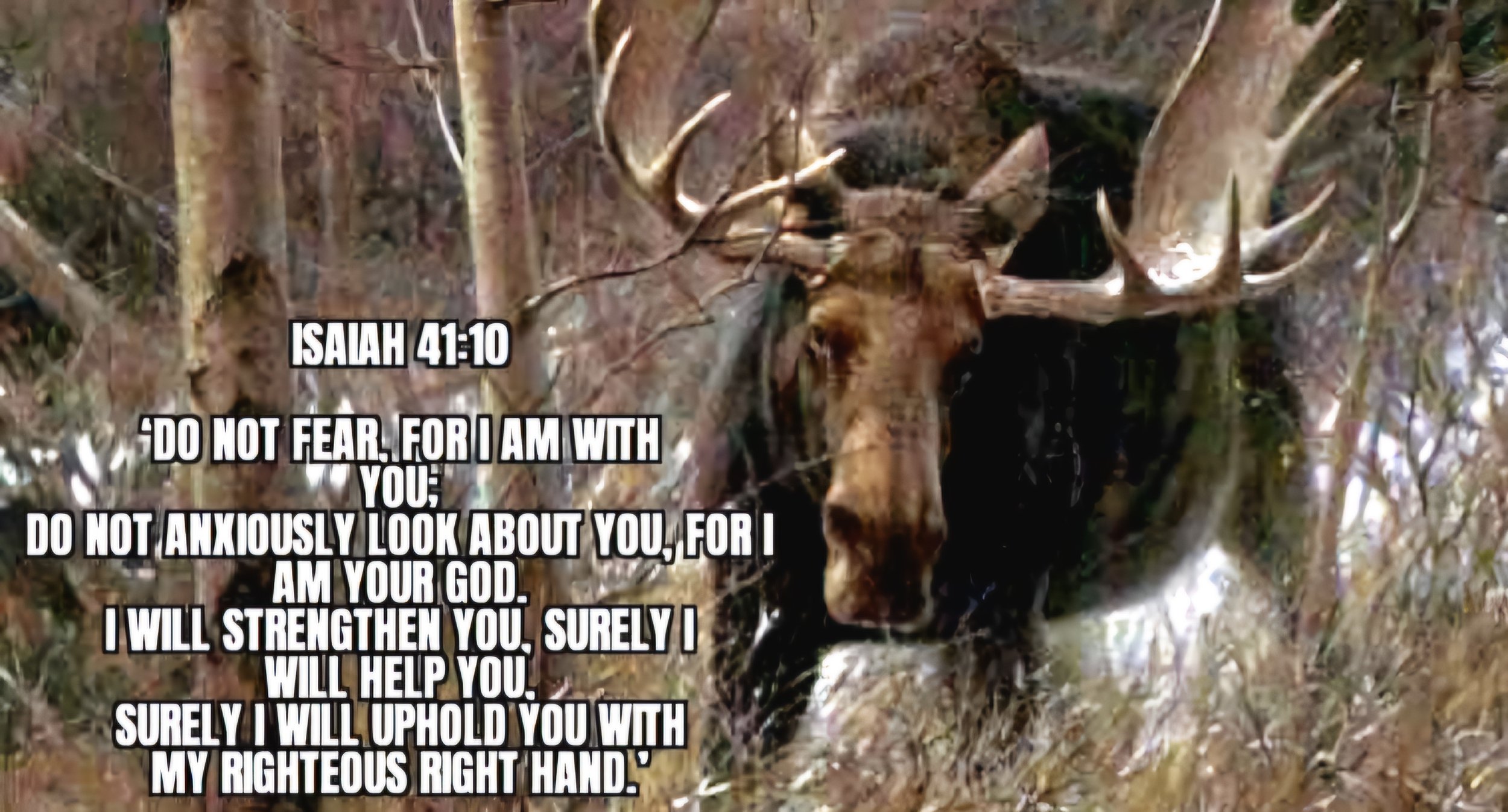 FULLY TRUST HIM