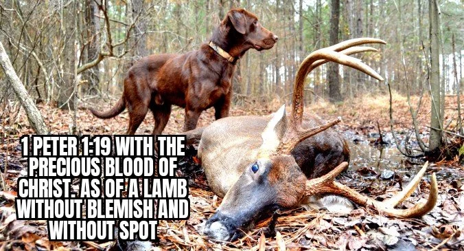 THE BLOOD TRAIL