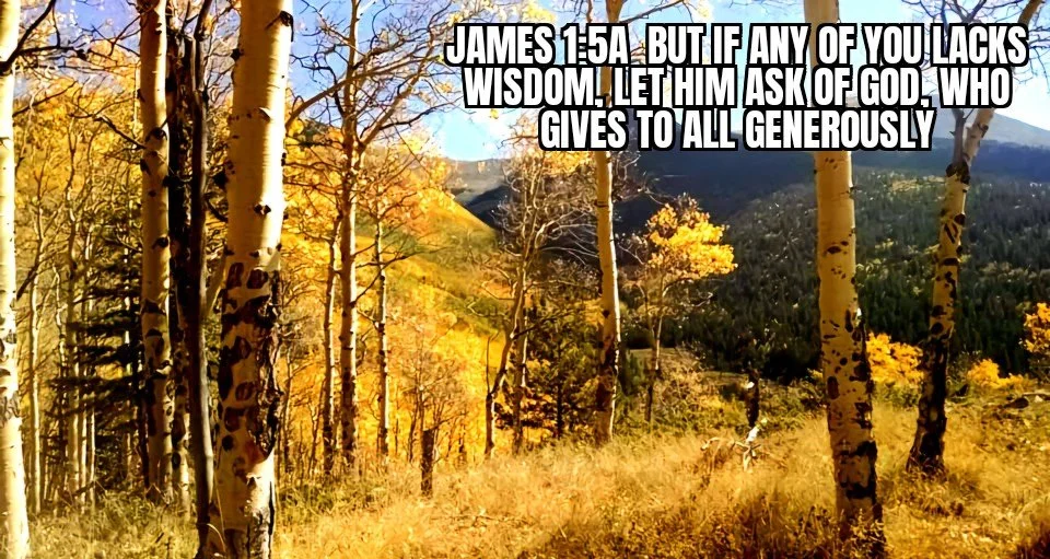 PRAYING FOR GODLY WISDOM 