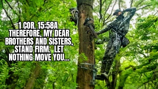 STAND FIRM