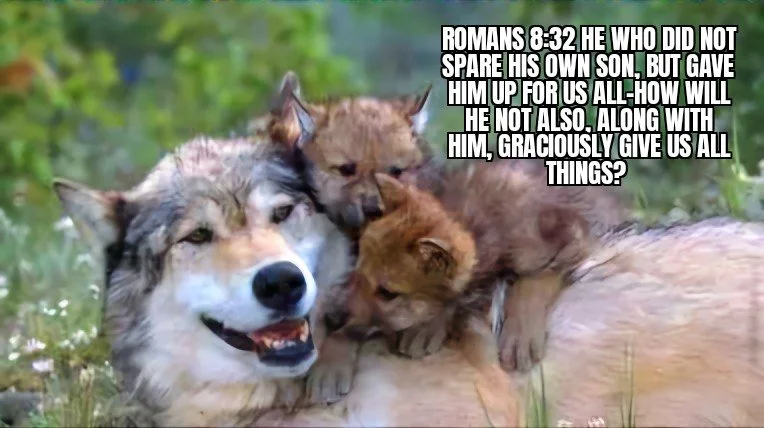 GOD DEPENDENT